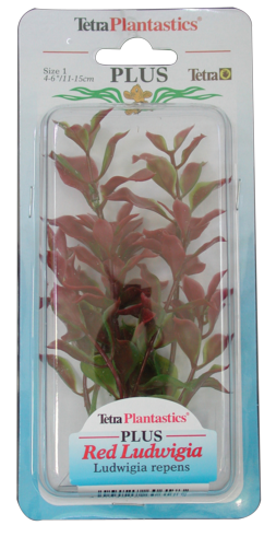 Red Ludwigia -muovikasvi
